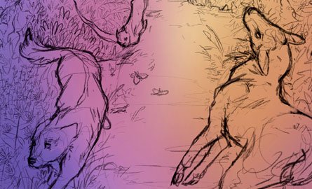 sketches of dog and deer